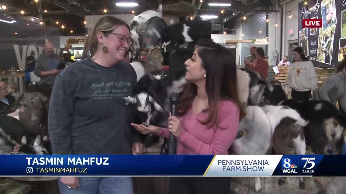 Pennsylvania Farm Show offers baby goat snuggling