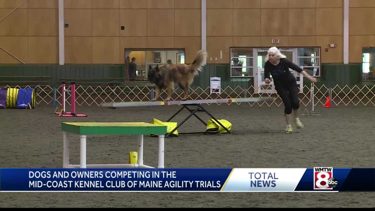 Dogs from across country take part in Maine Agility Trials
