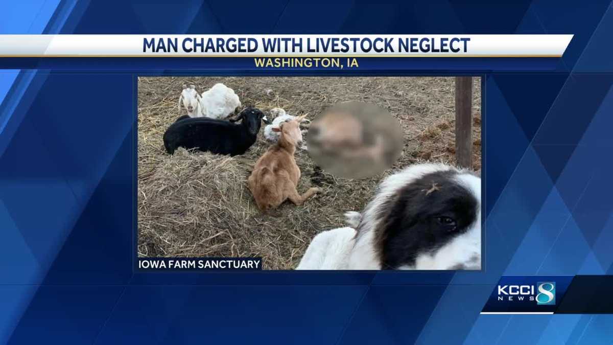 Iowa man charged with more than 20 counts of livestock neglect