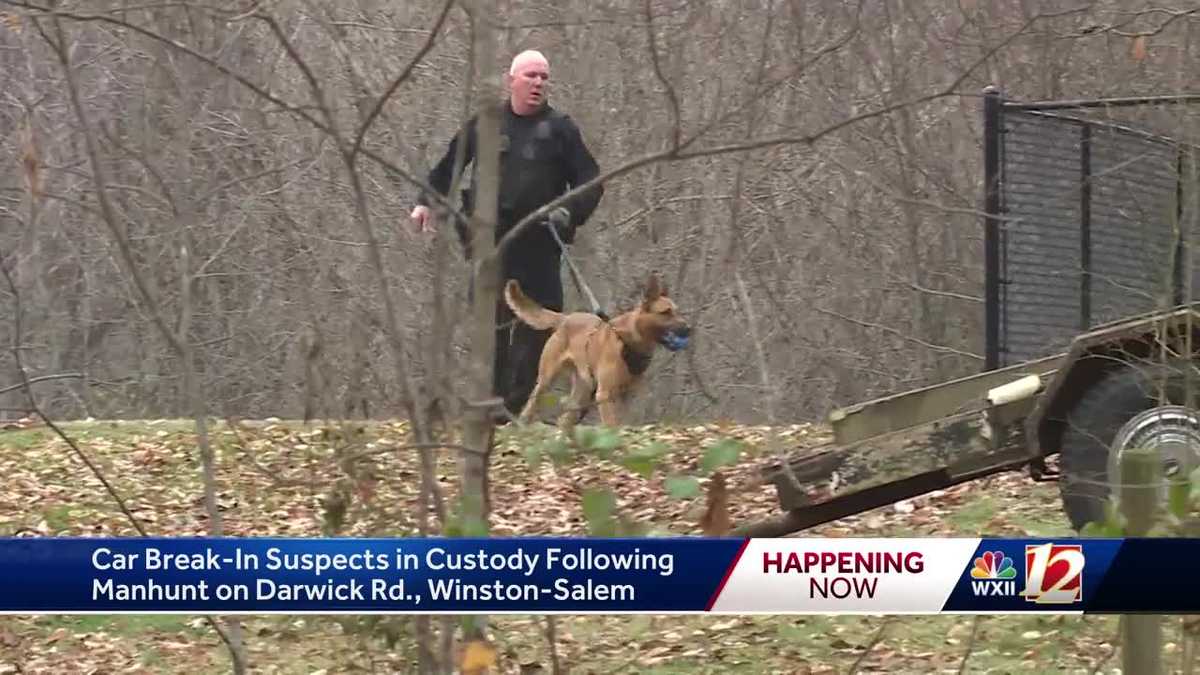 Teens caught after string of car break-ins in Winston-Salem now face ...