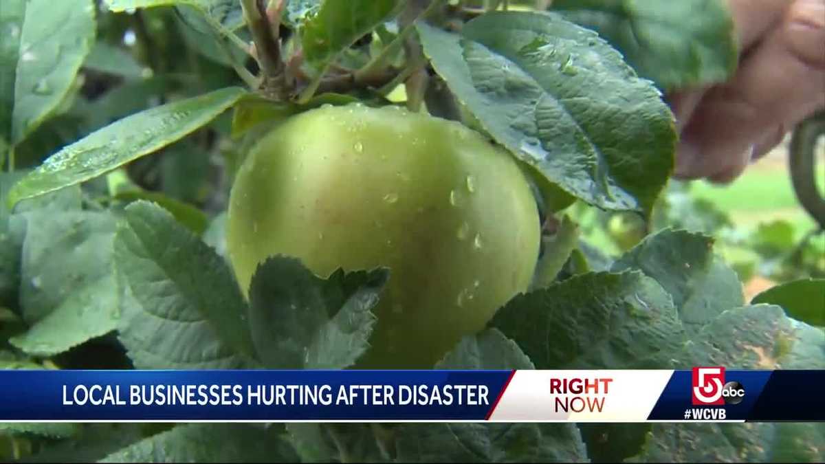 Apple farm struggling to attract customers after disaster