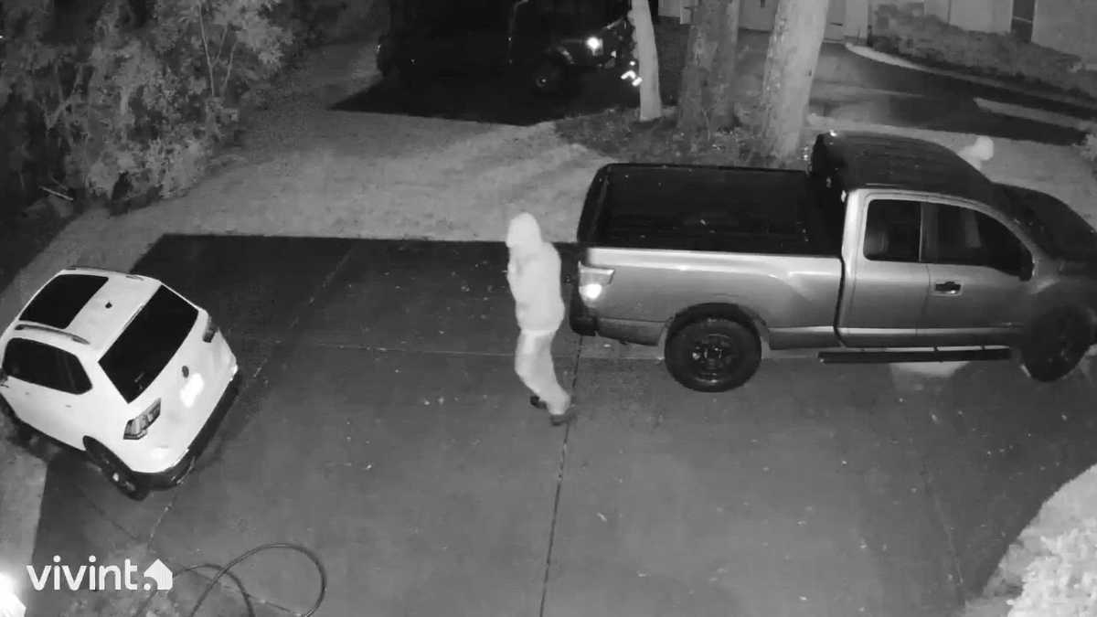 Chatham County police: Thieves hit unlocked vehicles overnight - WJCL