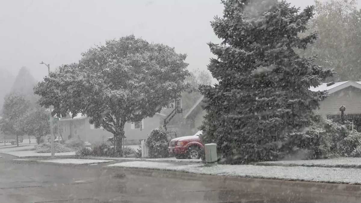 Light snow turns portions of Iowa into winter wonderland
