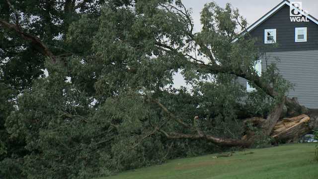 Severe storms knock down 200-year-old tree in Dauphin County, Pa. - Vimarsana News