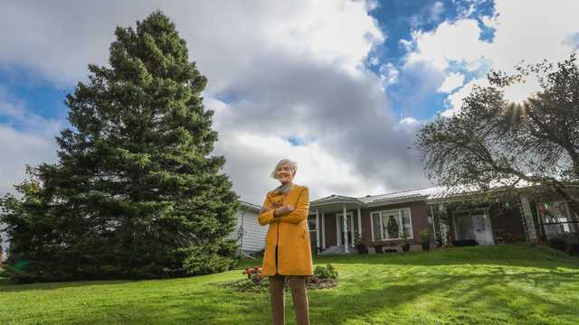 Christmas tree, annual gift for Boston from Nova Scotia, selected - Vimarsana News
