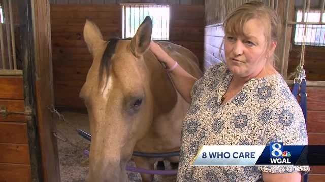 8 Who Care Award winner: Diane Strickland - Vimarsana News