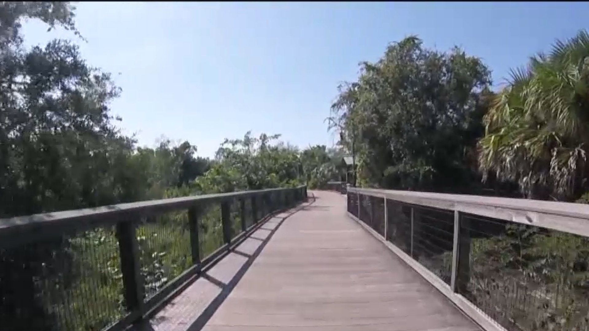 FDOT moving forward with plans for 200-mile trail connecting Collier County to Florida's Heartland - Vimarsana News
