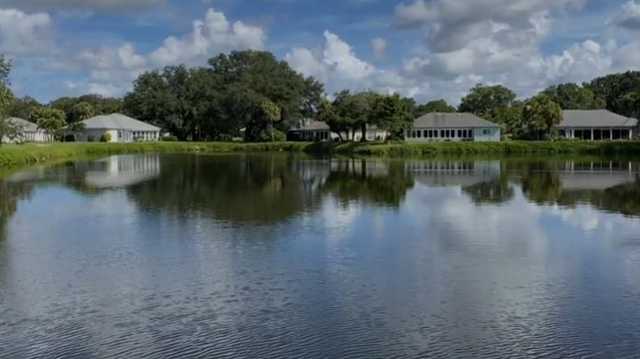 Woman killed by alligators in Florida pond identified - Vimarsana News
