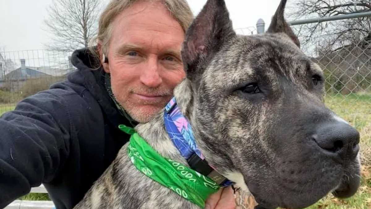 Ethan the dog’s journey to recovery inspires millions across the globe