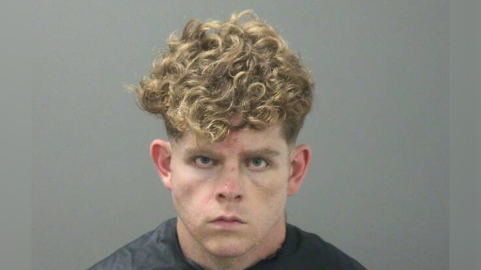 Police Andrew McGann admitted - Andrew James Mcgann New 688b8b7248fcc