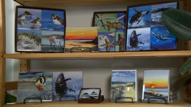 Mass. illustrator turning art into gifts for nature lovers - Vimarsana News