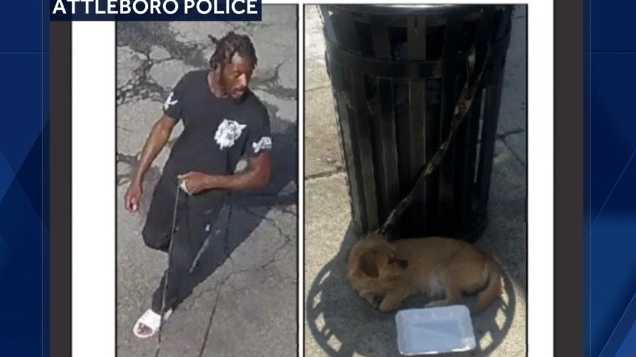 Attleboro Police Seek Man Who Left Dog Tied to Trash Can for Hours