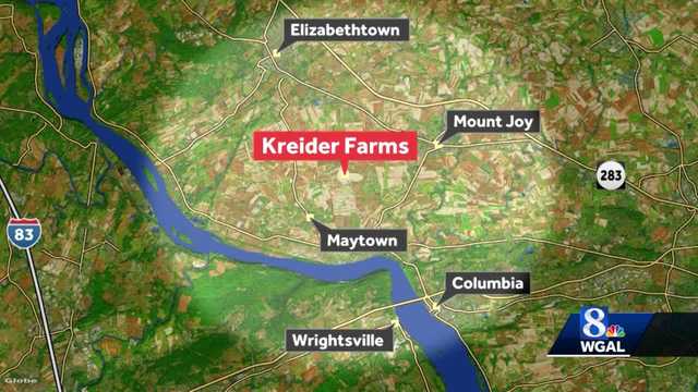 Nearly 3.5 million chickens in Lancaster County destroyed due to avian flu - Vimarsana News