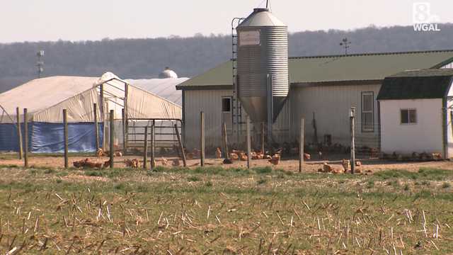 Pa. governor meets with farmers about avian flu - Vimarsana News