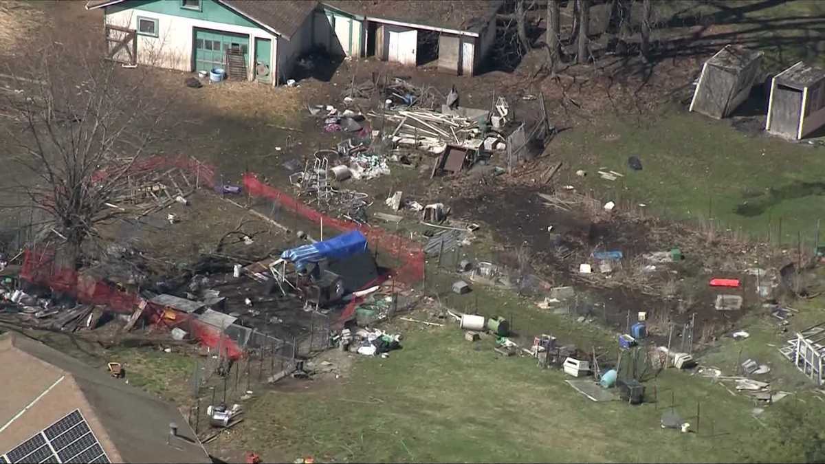 162 animals seized from Mass. home, 30 counts of animal cruelty