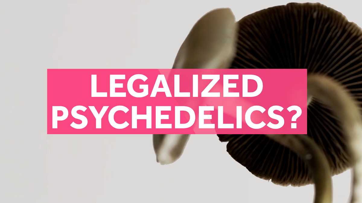 Question 4 debate: Legalization of psychedelics