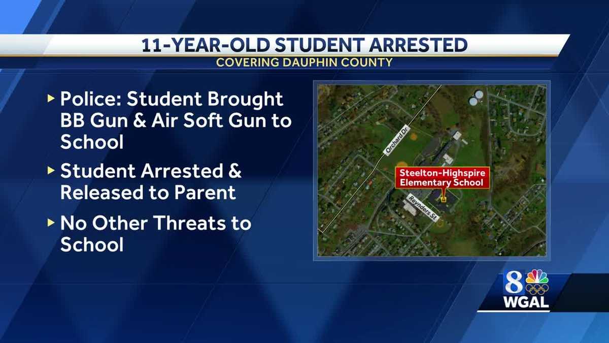 11-year-old charged, accused of bringing BB gun to school