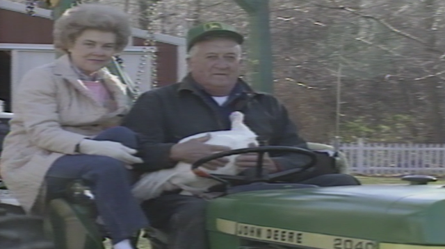 Gas-guzzling, tractor-riding turkey avoids Thanksgiving table - Vimarsana News