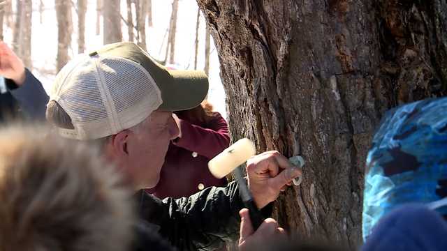 Gov. Phil Scott celebrates the start of the maple season with annual tree tapping - Vimarsana News