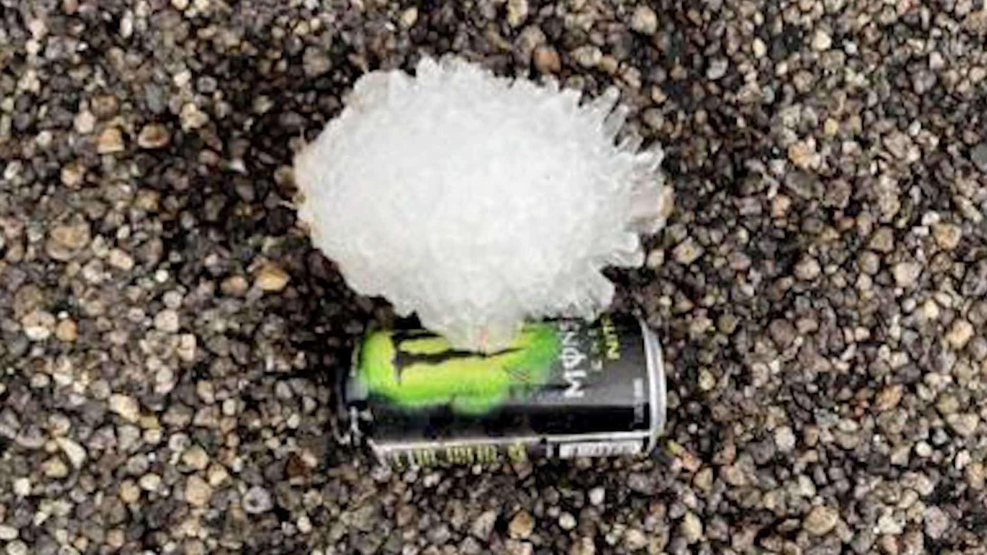 Storm trackers in the Texas Panhandle have recovered a massive hail stone that's about the size of a pineapple - Vimarsana News