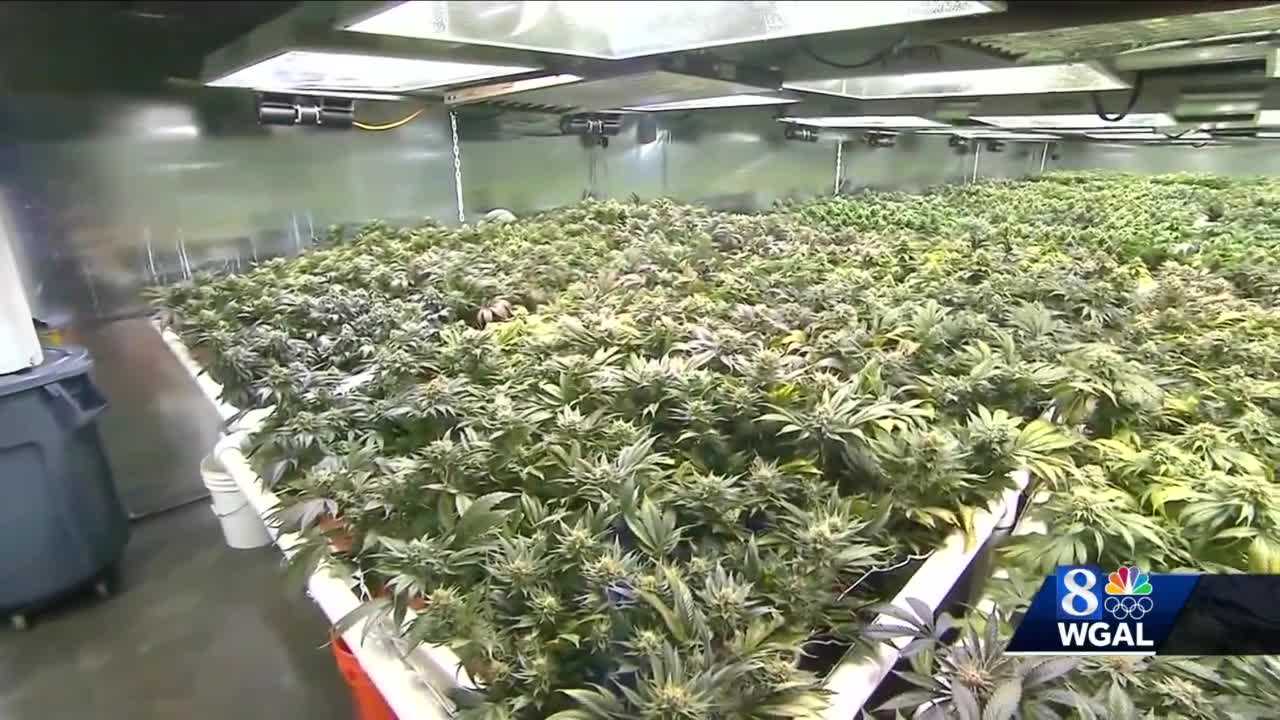 New Bill Calls For Legalizing Recreational Marijuana In Pa.