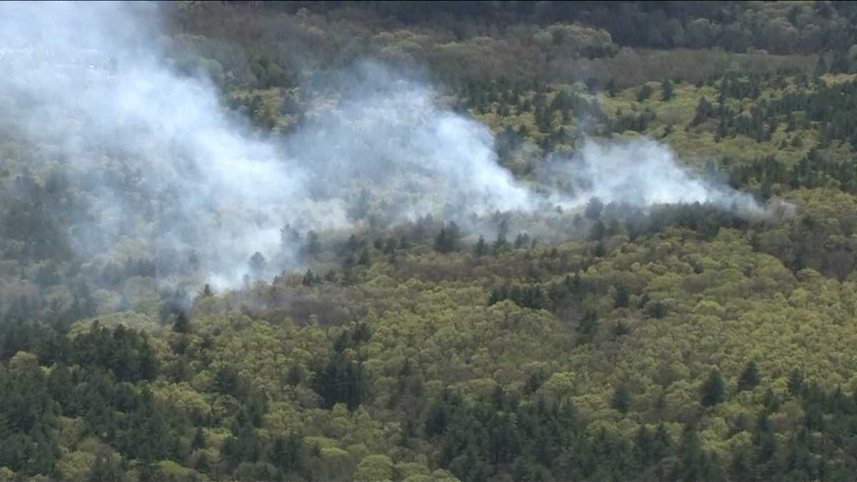 Blue Hills Reservation sees brush fire for third straight weekend