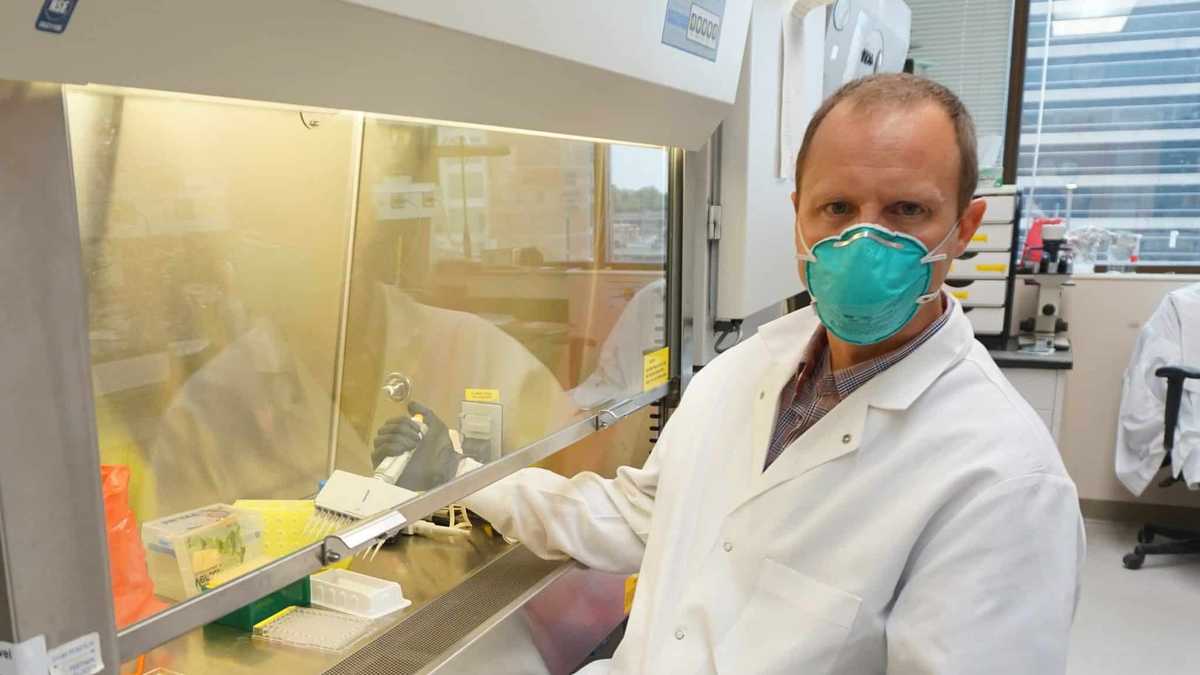 UAMS develps highaccuracy antibody testing