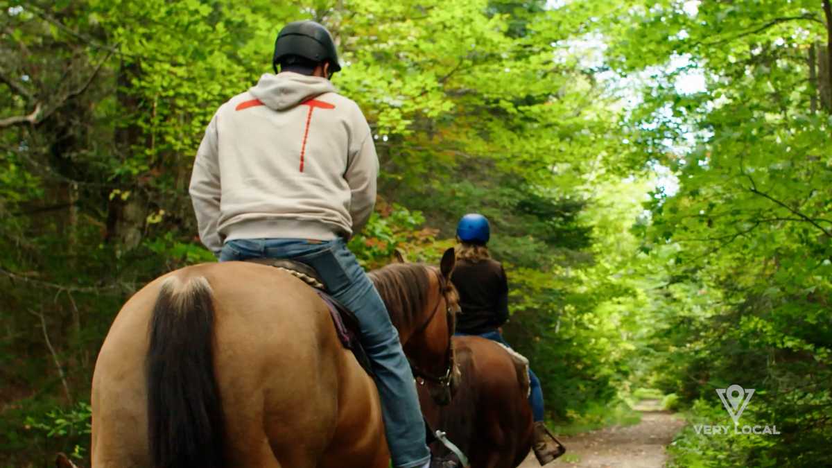 Learn how to ride horseback on New Hampshire forest trails
