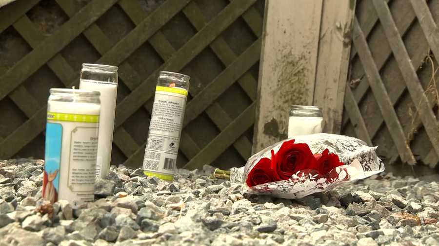 Woman killed in early morning Boston shooting identified