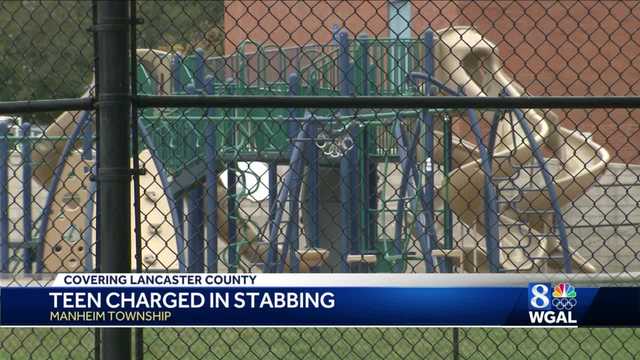 Teen stabs boy during fight at central Pa. playground, police say - Vimarsana News