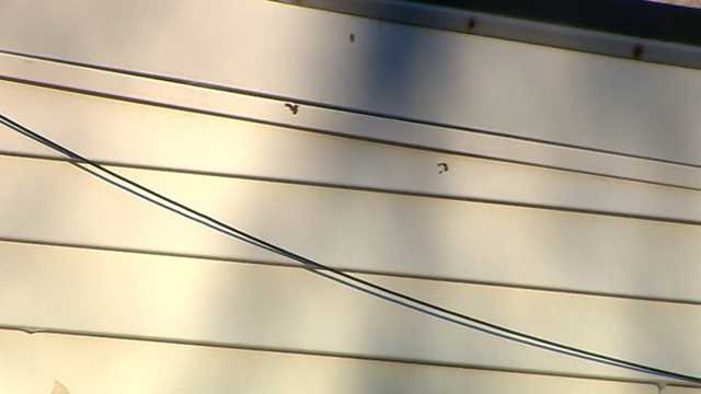 Shooting leaves bullet holes in Roslindale multifamily home - Vimarsana News