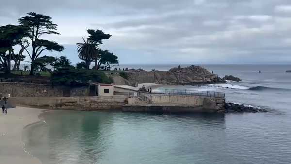 Body recovered at California beach identified by family as possible shark attack victim