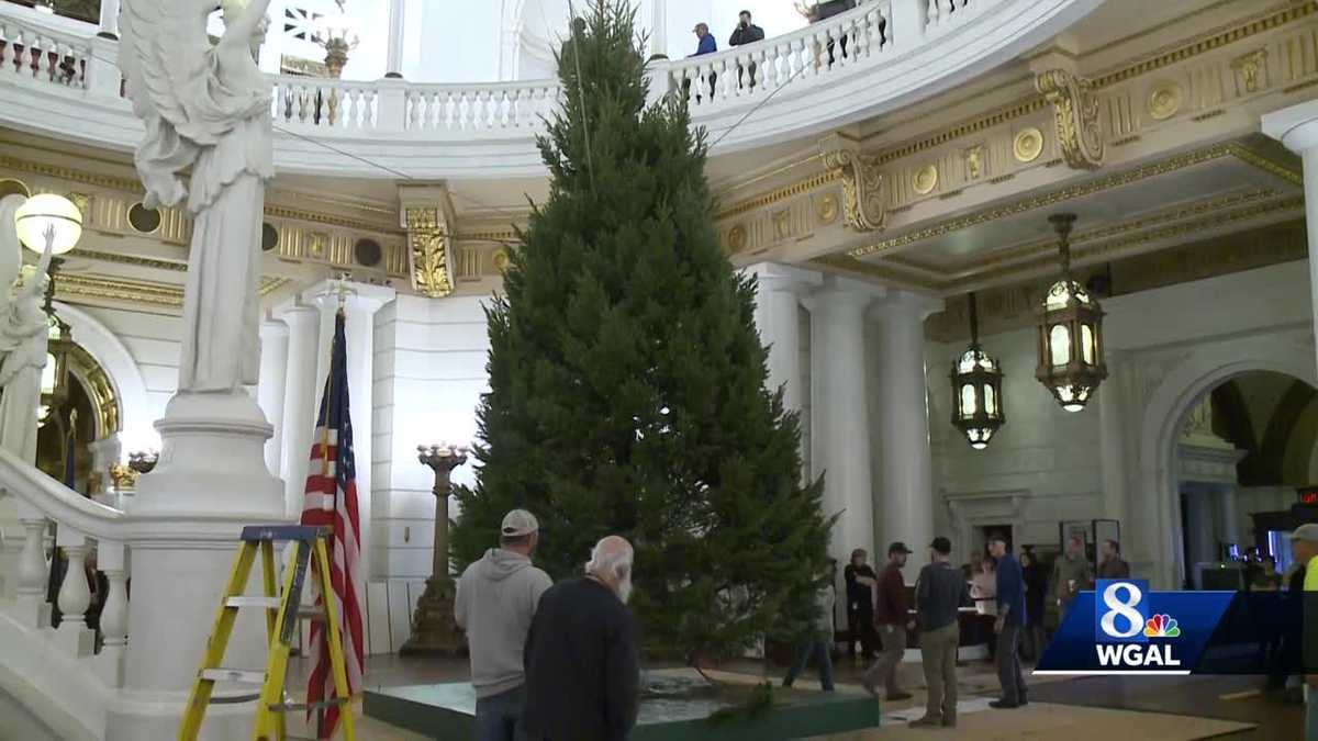 Capitol Christmas tree arrives in Harrisburg, Pa.