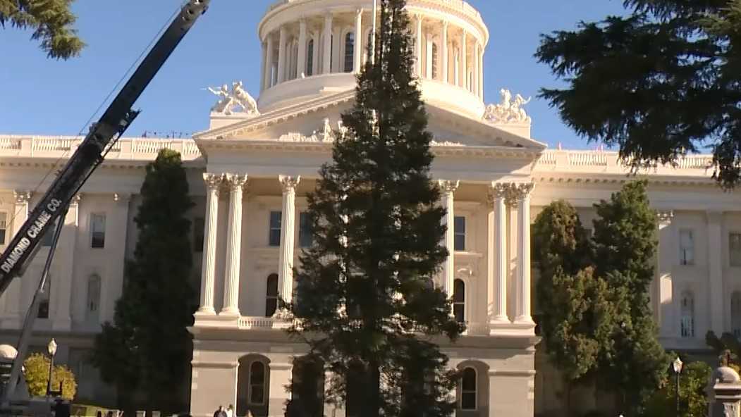How to watch the California capitol tree lighting ceremony