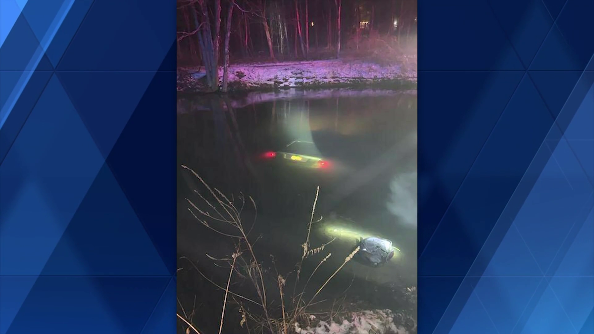 Witness To Crash Jumps Into Water Rescues Woman From Sinking Car 