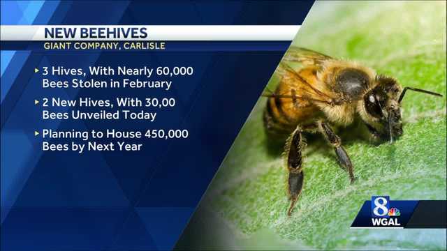 Giant Company unveils new beehives at Carlisle headquarters - Vimarsana News