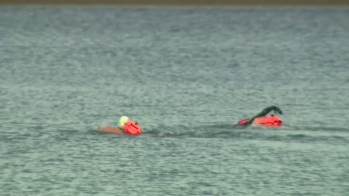 Swimmers out at Carson Beach despite plunging temps