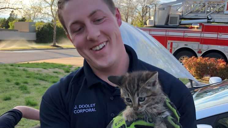 Okc Firefighters Rescue Cat That Became Stuck In Car