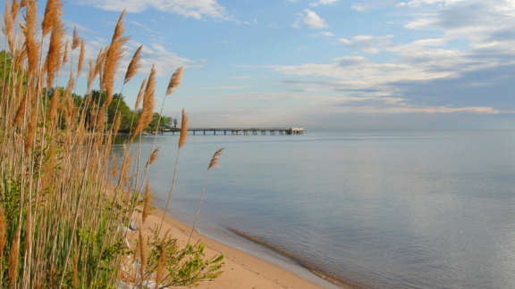 EPA: Pennsylvania won't meet goal for Chesapeake Bay restoration - Vimarsana News