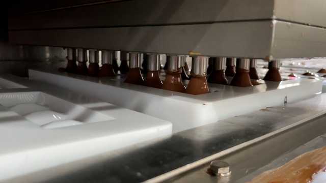 Bitter truth: Chocolate shortage possible during holiday season - Vimarsana News