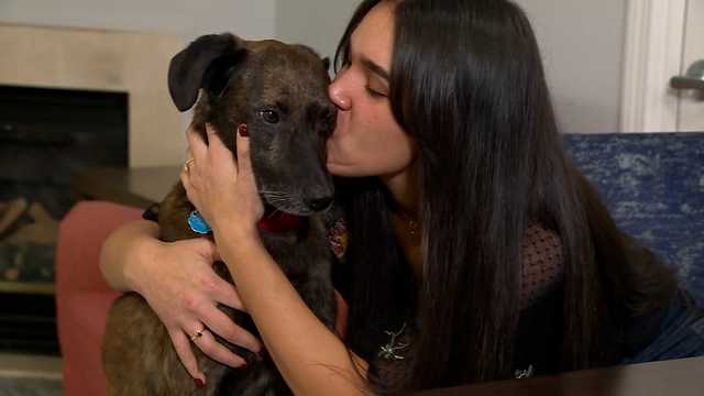 Lawrence woman reunited with dog who went missing after fire - Vimarsana News