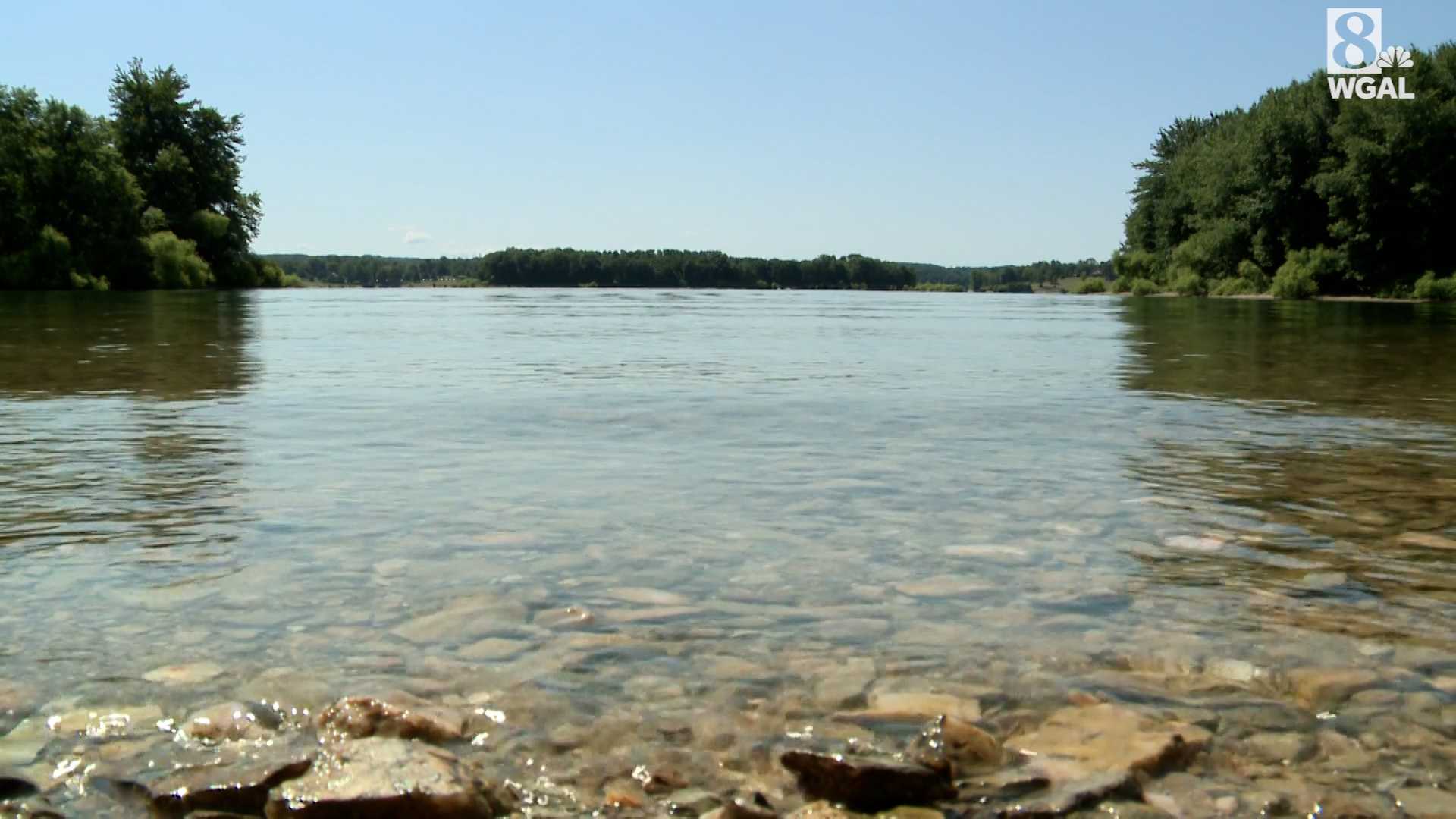 Multiple vehicles involved in crash at Codorus State Park in Pa. - Vimarsana News