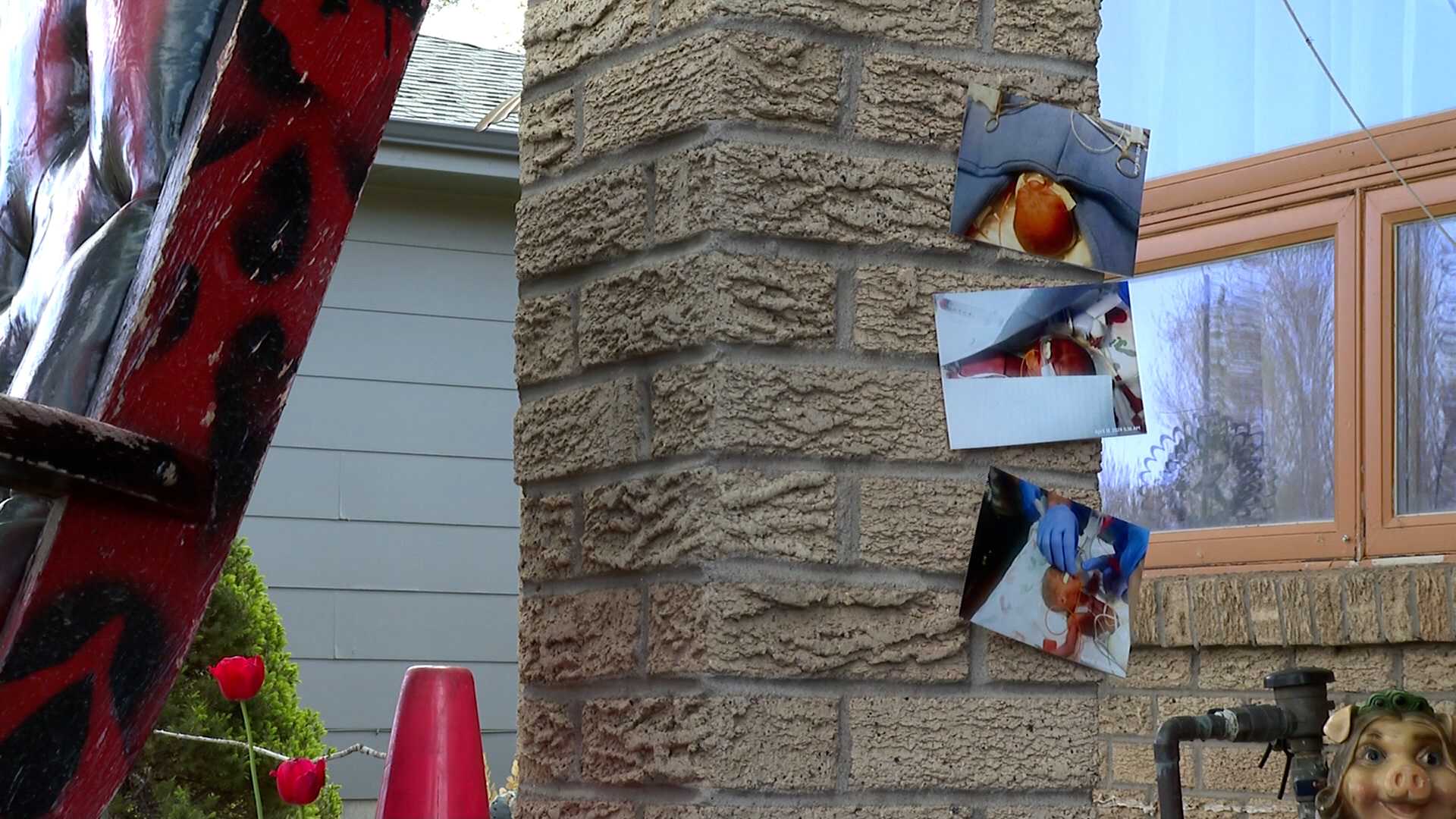 Colorado woman gives birth to triplets on friend's porch - Vimarsana News