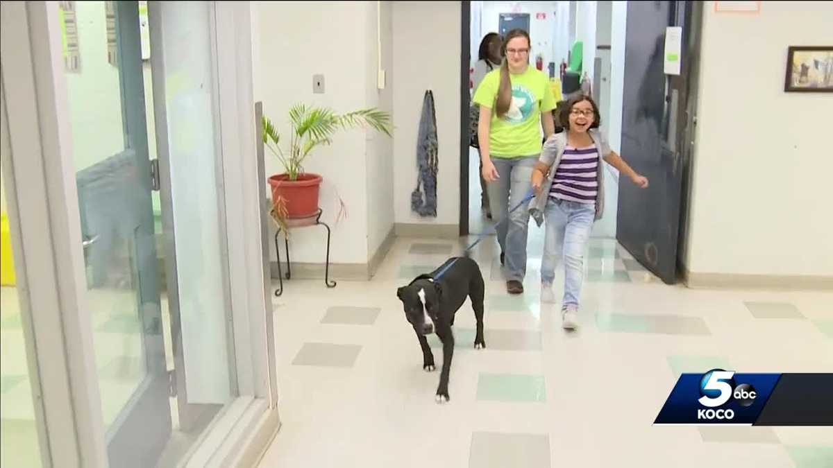 7-year-old girl, family leave metro pet adoption event ...