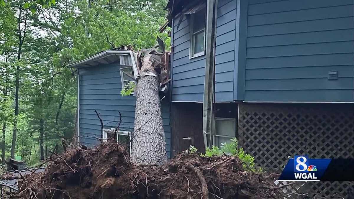 Tree falls on Cumberland County home