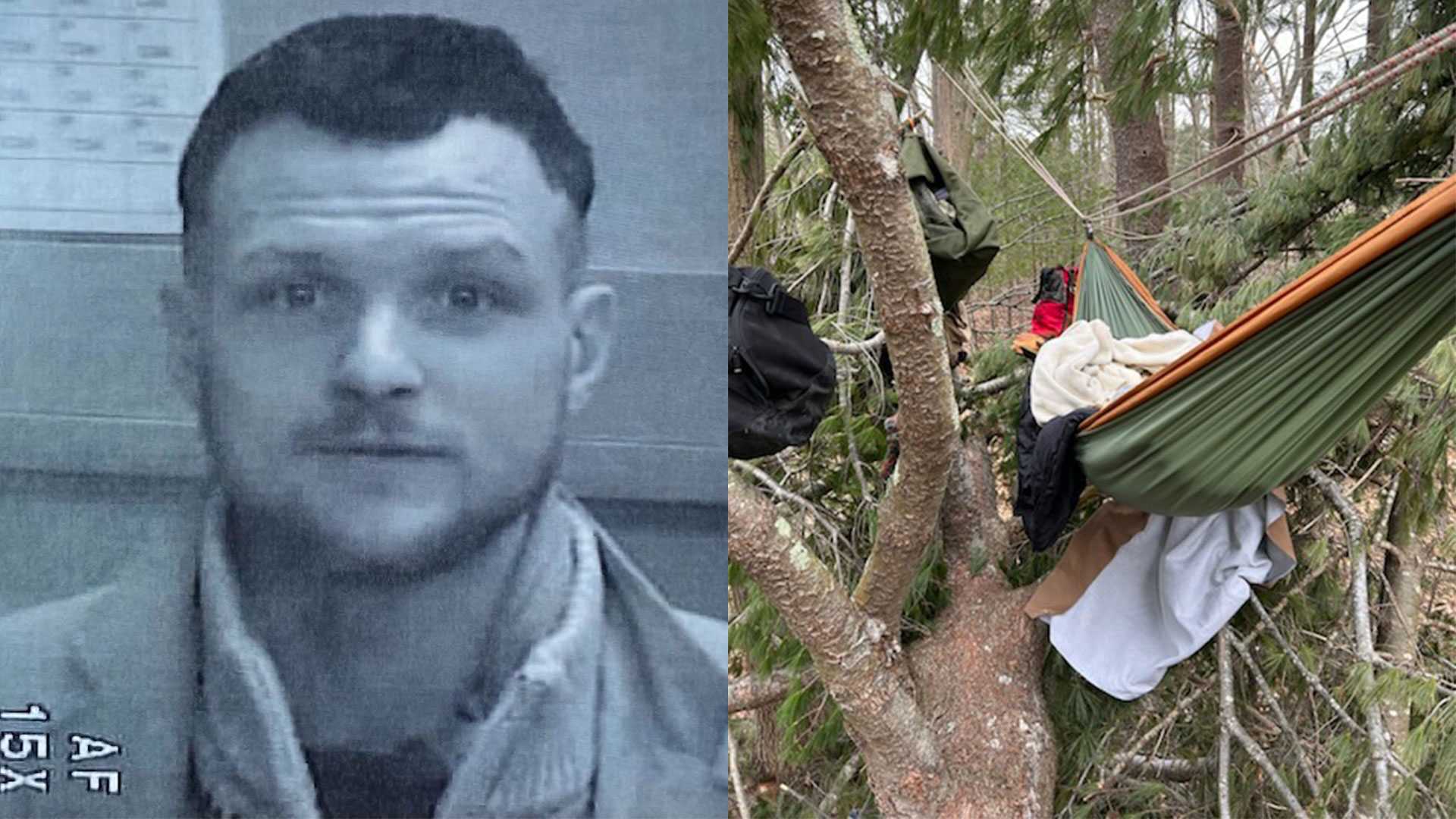 Man with lengthy criminal history caught camping in tree near school - Vimarsana News