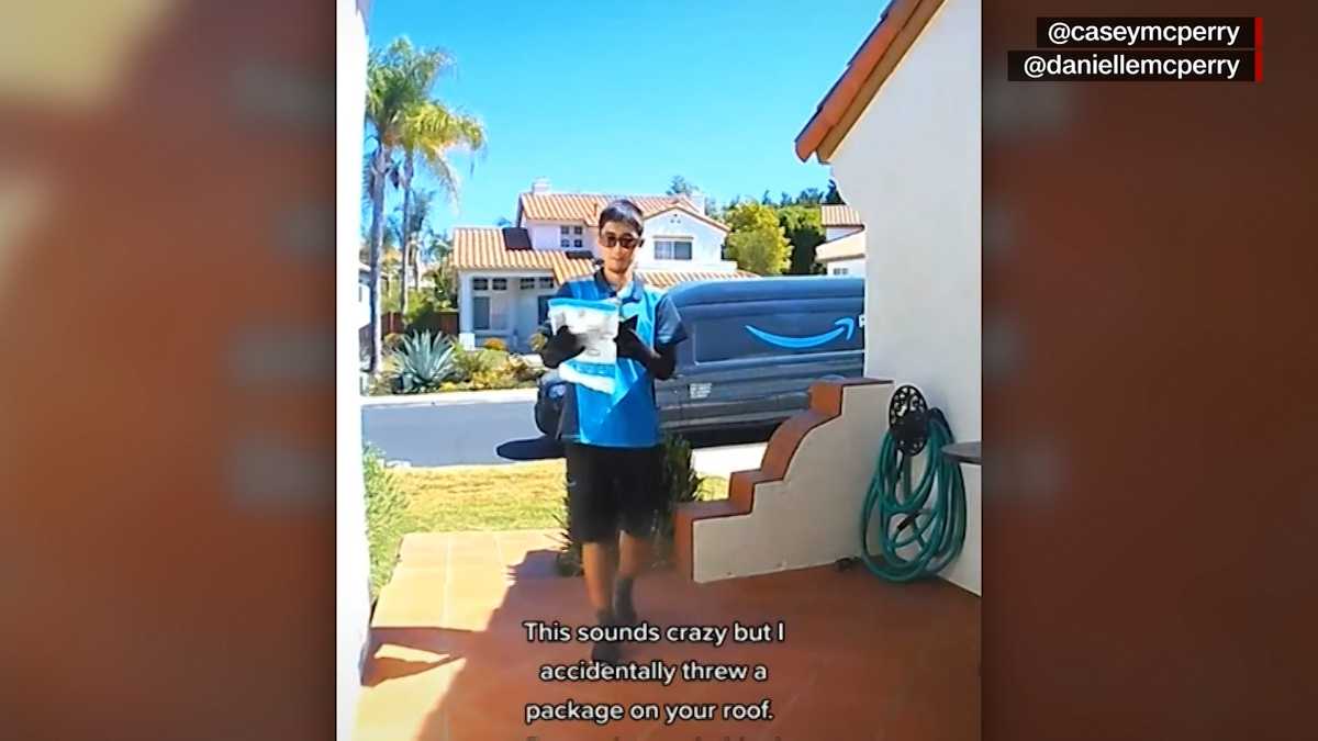 WATCH Delivery driver accidentally throws package onto roof