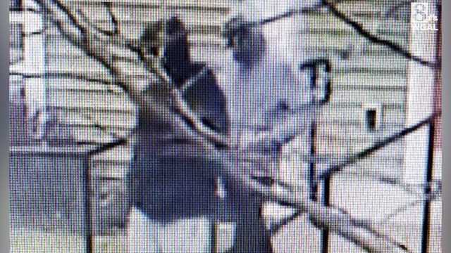 Burglars stole rifles from Dillsburg, Pennsylvania, apartment - Vimarsana News