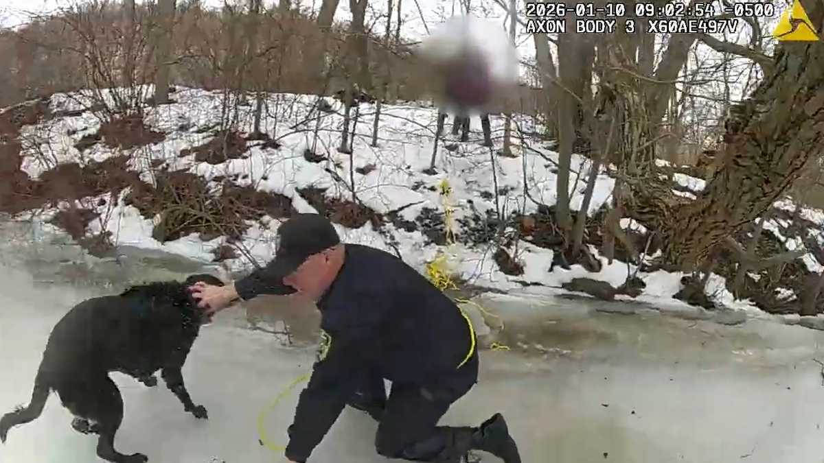 Video shows state troopers rescuing dog that fell through the ice in Northern New York
