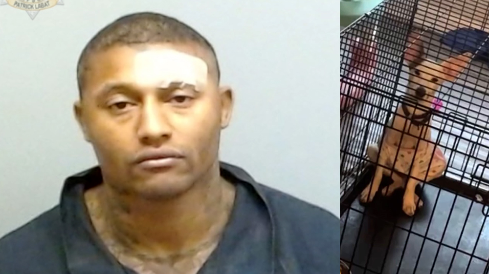 Georgia man accused of decapitating woman's missing dog